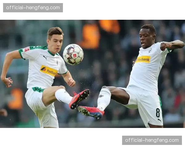 评论:海登海姆的“整体足球”理念为何能在德甲站稳脚跟 评论:海登海姆的“整体足球”理念为何能在德甲站稳脚跟